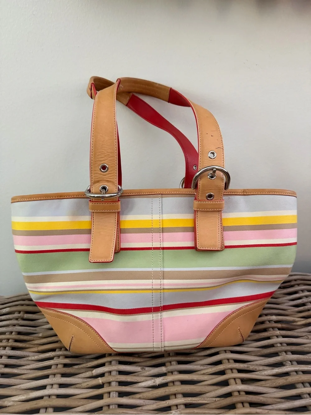COACH Hampton Daisy Vachetta Leather Twill Multicolor Canvas Small Tote Bag 4435